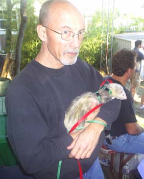brightwell_ferret